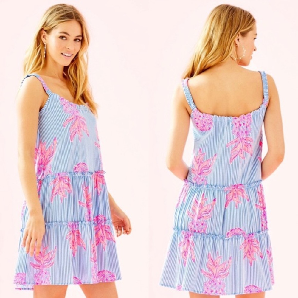 Lilly Pulitzer Loro swing dress in Rum Swizzle